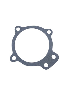 Chevrolet Water Pump Gasket (Short Shaft Conv.) Photo Main